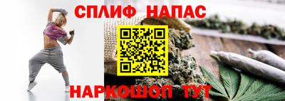 эйфоретик Новокубанск