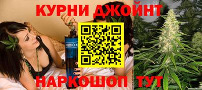 гашик Новозыбков